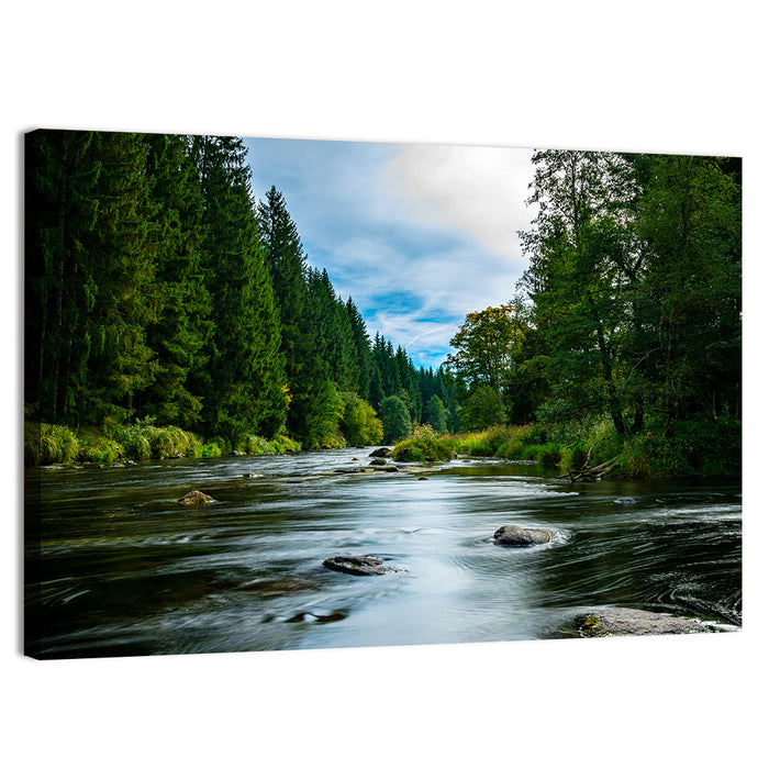 Bavarian Forest River Wall Art as a canvas print