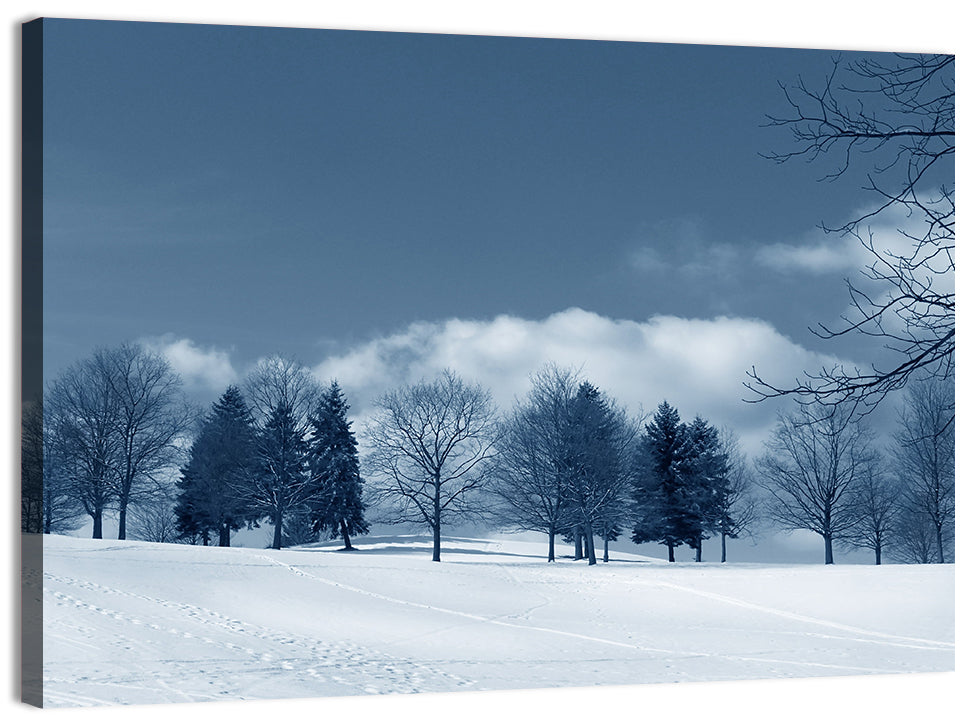 Snowy Field with Tracks Wall Art
