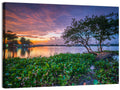Cipondoh Lake Hyacinth Sunset Wall Art