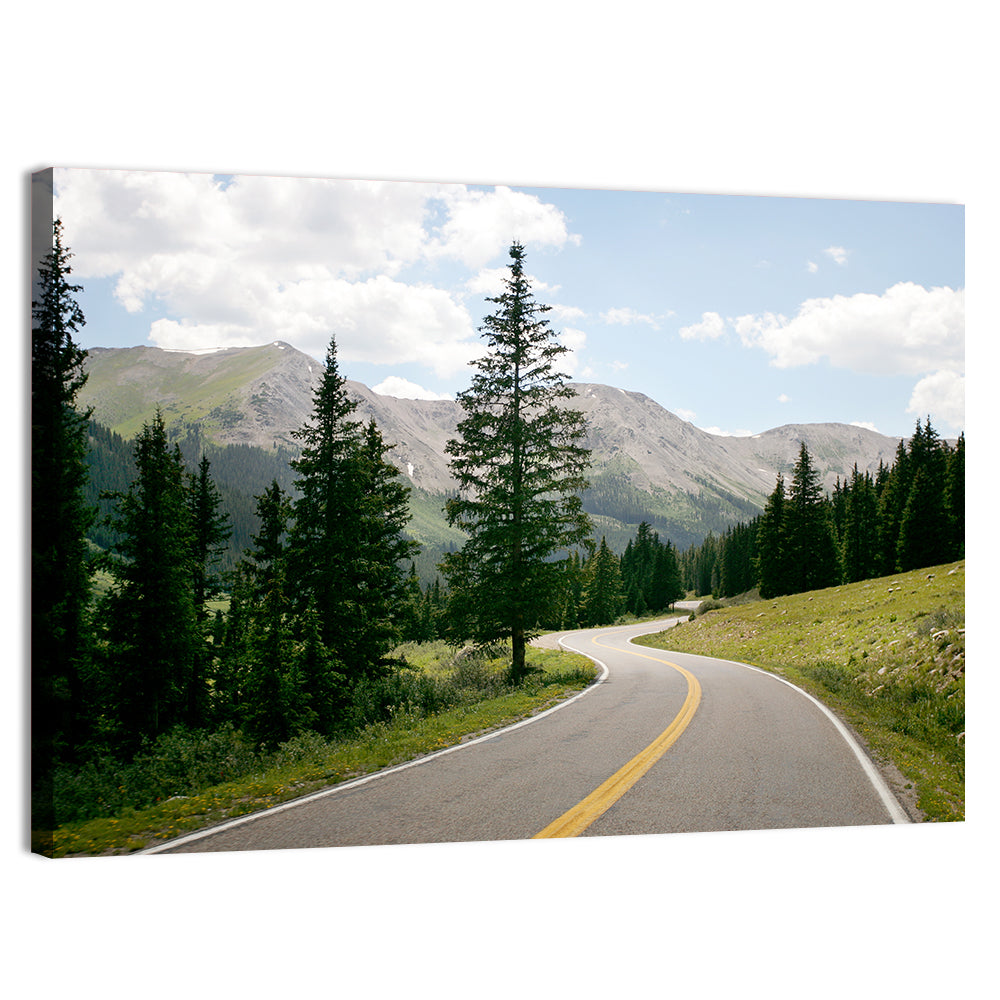 Colorado Mountain Road Wall Art