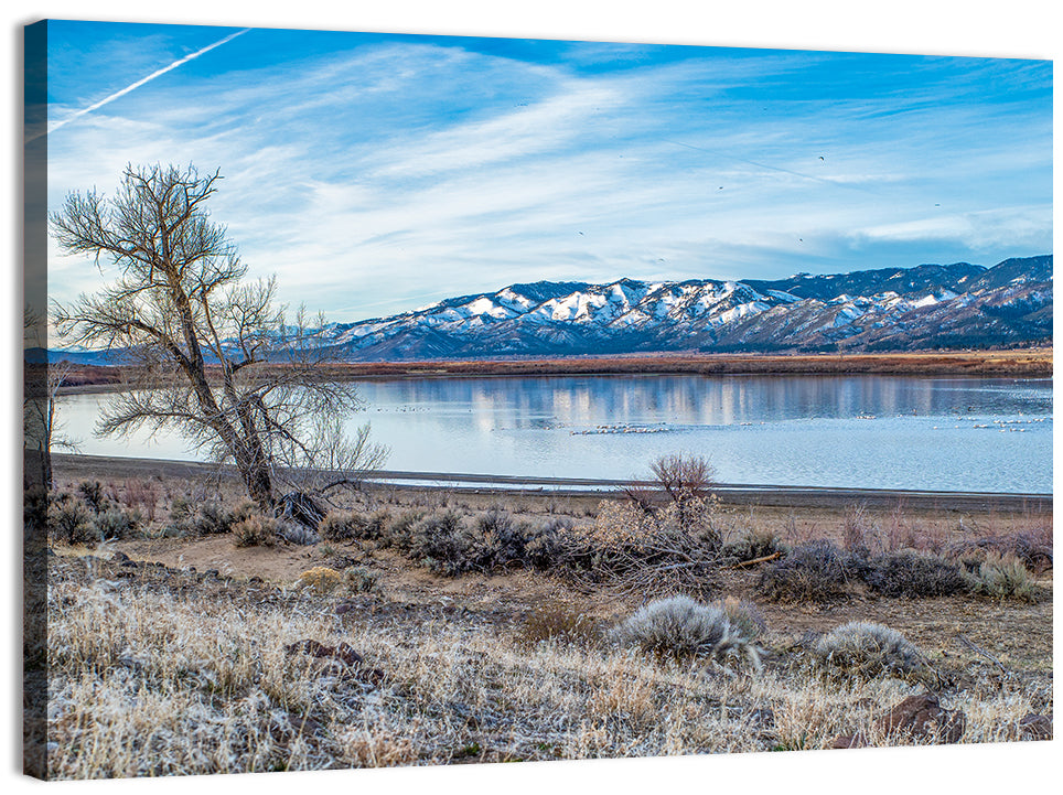 Winter Washoe Lake Morning Wall Art, canvas print, landscape