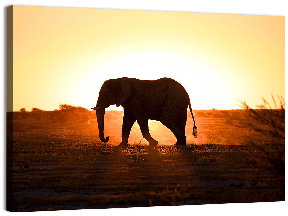 Golden Hour Elephant Silhouette Wall Art