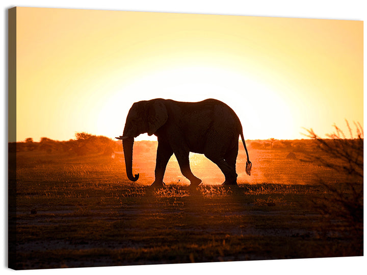 Golden Hour Elephant Silhouette Wall Art