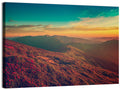 Alpine Rhododendrons at Golden Sunrise Wall Art
