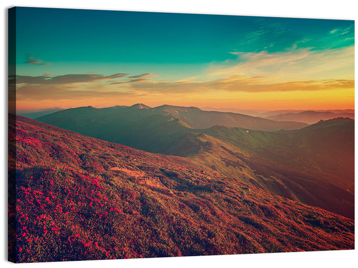Alpine Rhododendrons at Golden Sunrise Wall Art as a canvas print