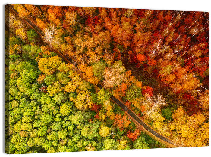 Winding Road Through Autumn Forest Wall Art as a canvas print