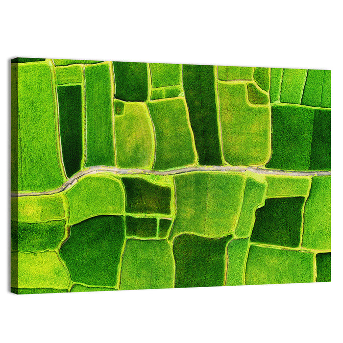 Verdant Rice Terrace Grid Wall Art as a canvas print