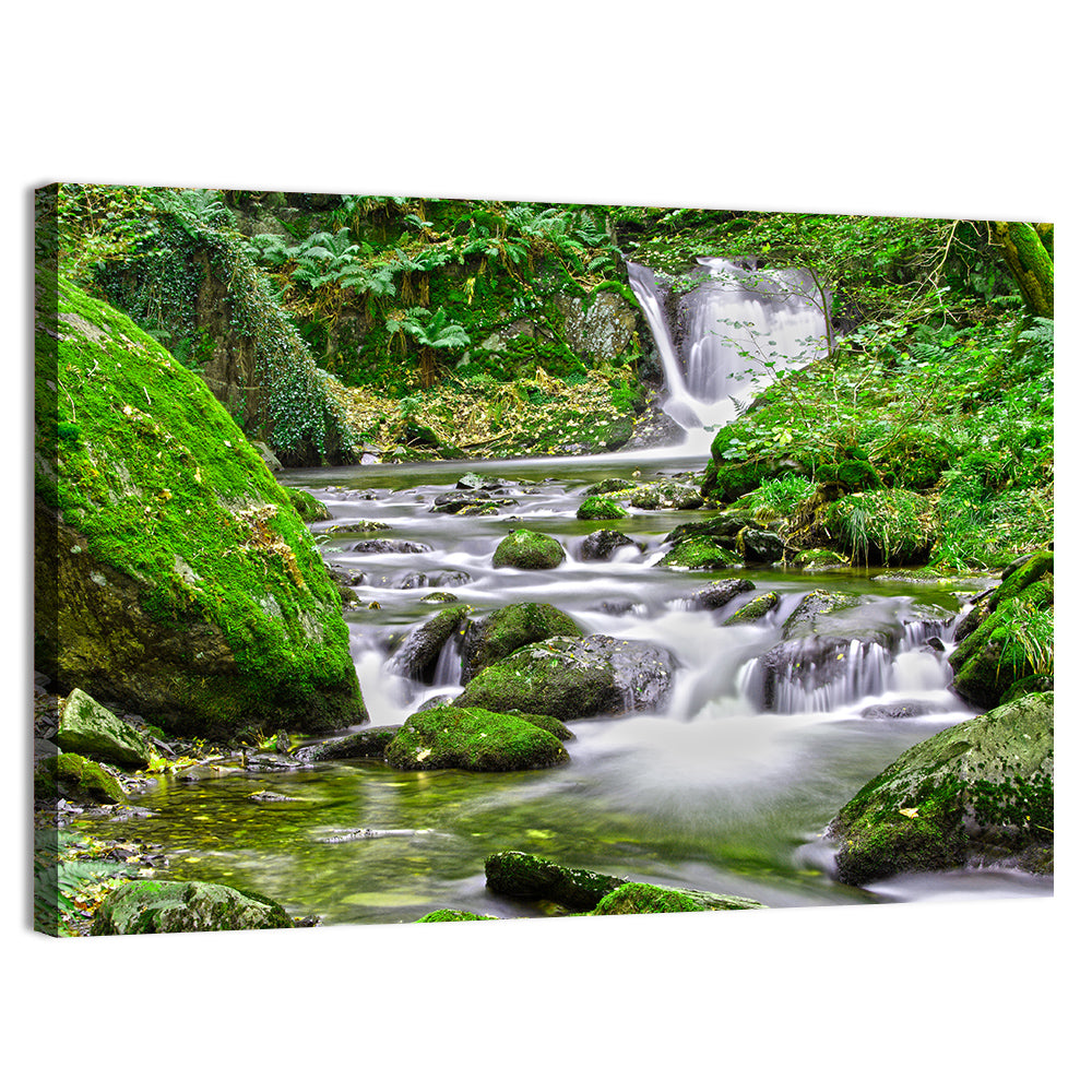Mossy Forest Stream Wall Art