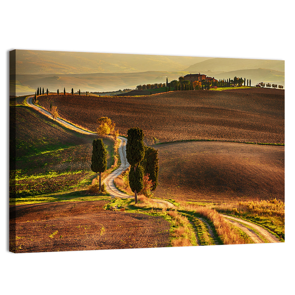 Val D’orcia Winding Golden Road Wall Art