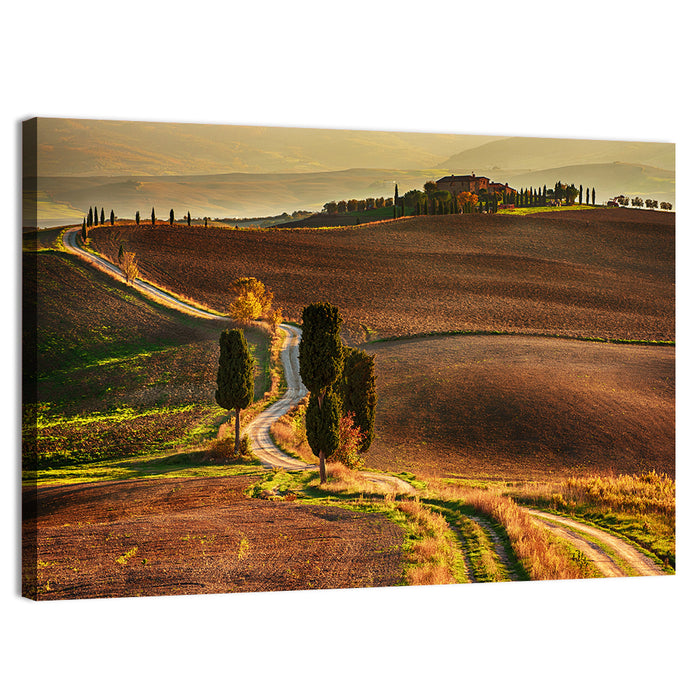 Val D’orcia Winding Golden Road Wall Art as a canvas print