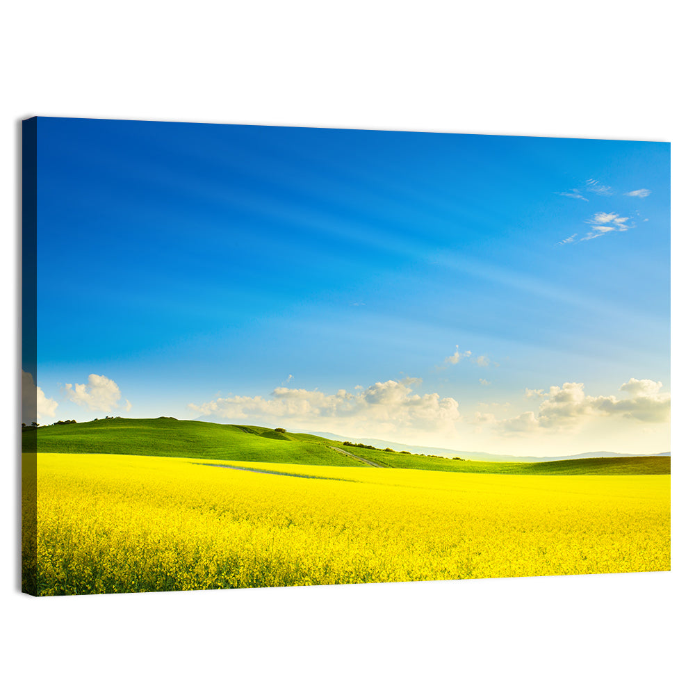 Rapeseed Field and Rolling Hills Under Blue Sky Wall Art, canvas print, landscape