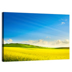 Rapeseed Field and Rolling Hills Under Blue Sky Wall Art