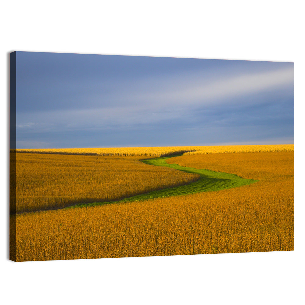 Golden Hour Soybean Field Wall Art