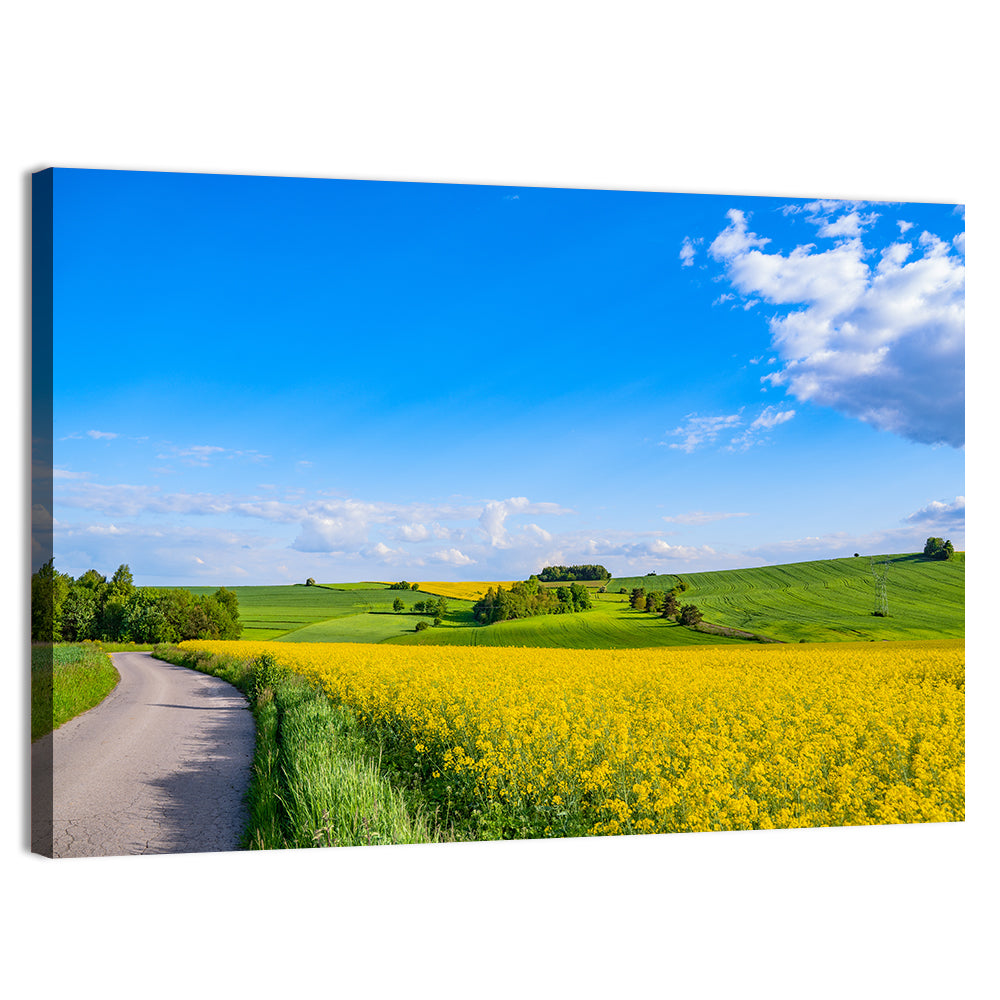 Rapeseed Field Road Under Blue Sky Wall Art, canvas print, landscape