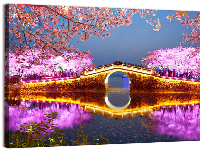 Illuminated Cherry Blossom Bridge Wall Art as a canvas print