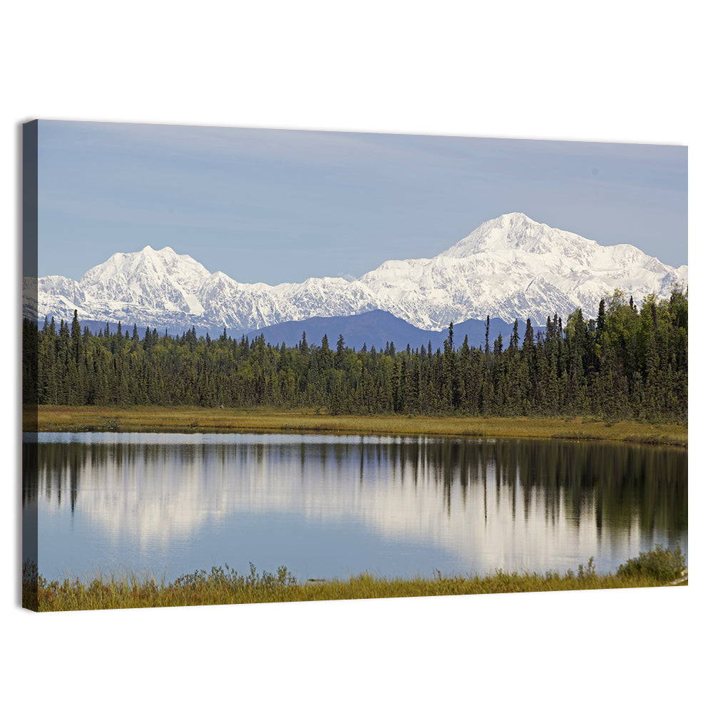 Denali Reflection Wall Art, canvas print, landscape