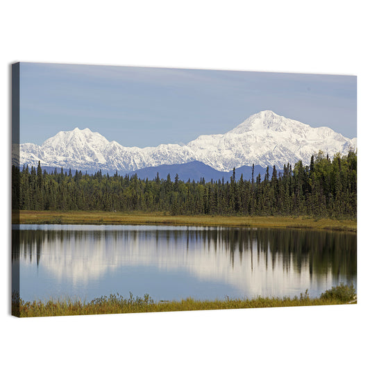 Denali Mountain Wall Art