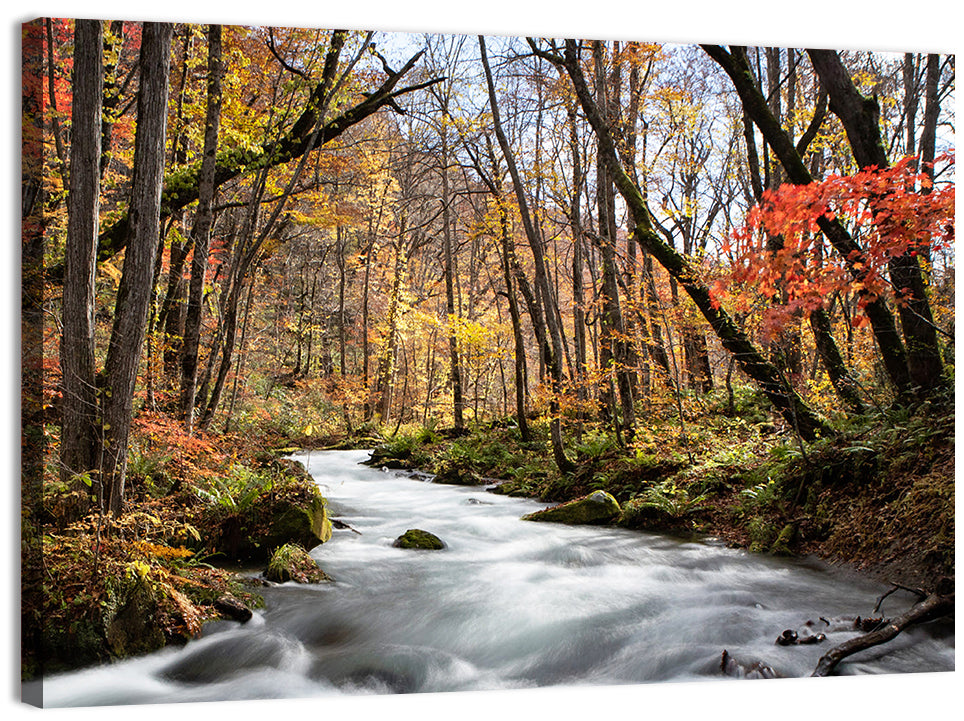 Sunlit Forest Stream Wall Art, canvas print, landscape