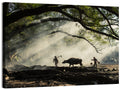 Village Morning with Buffalo Wall Art
