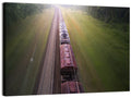Freight Train Through Forest Wall Art