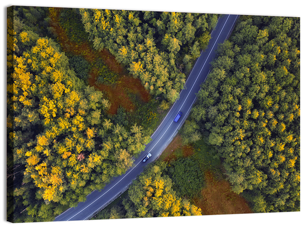 Aerial Autumn Forest Road Wall Art