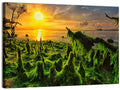 Mangrove Roots at Sunset Wall Art