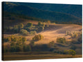 Bashang Plateau Golden Hour Wall Art