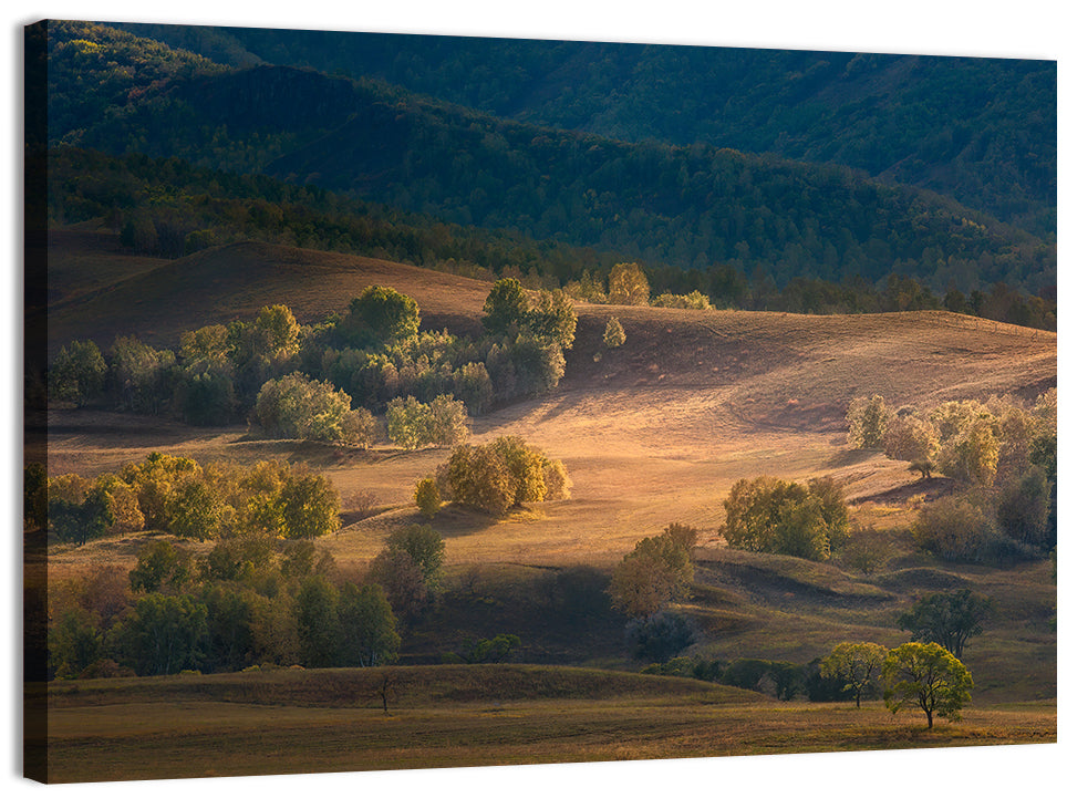 Bashang Plateau Golden Hour Wall Art, canvas print, landscape