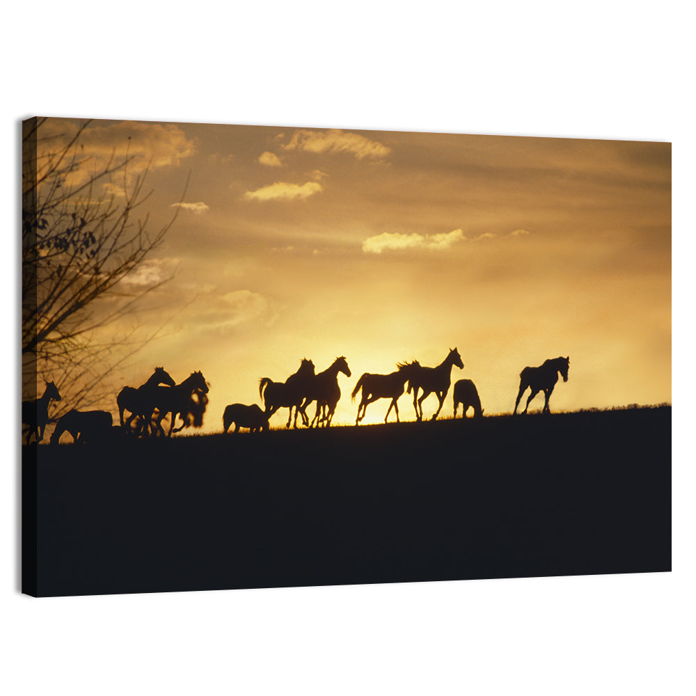 Mustang Silhouettes at Sunset Wall Art, canvas print, landscape
