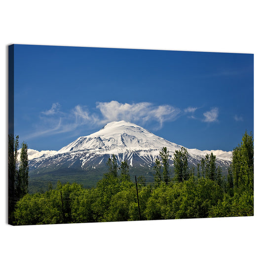 Mount Ararat Wall Art