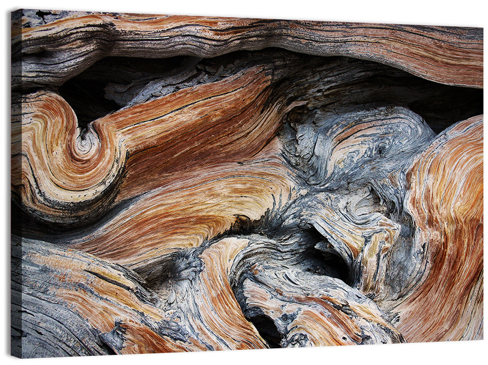 Juniper Wood Texture Wall Art