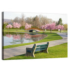 Harrisburg Park Cherry Blossoms Wall Art