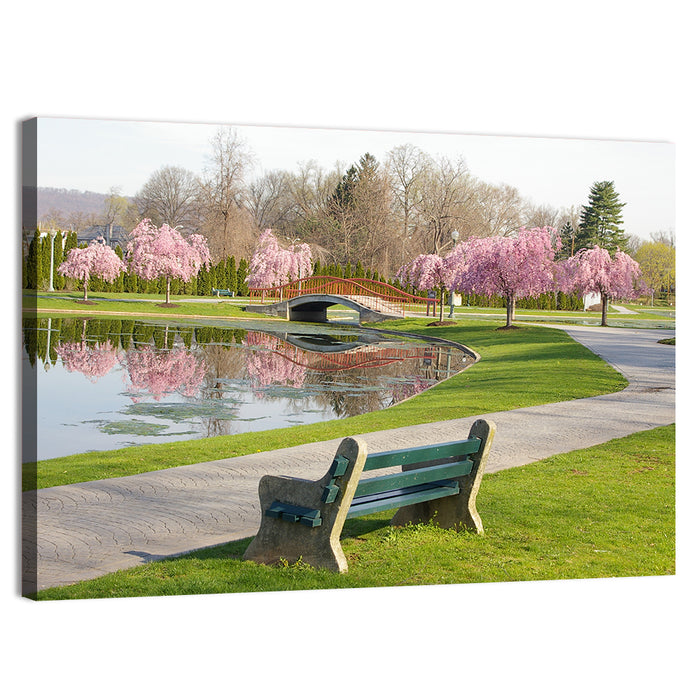 Harrisburg Park Cherry Blossoms Wall Art as a canvas print
