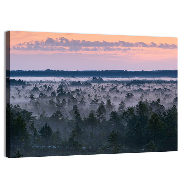 Estonian Misty Pine Landscape Wall Art as a canvas print
