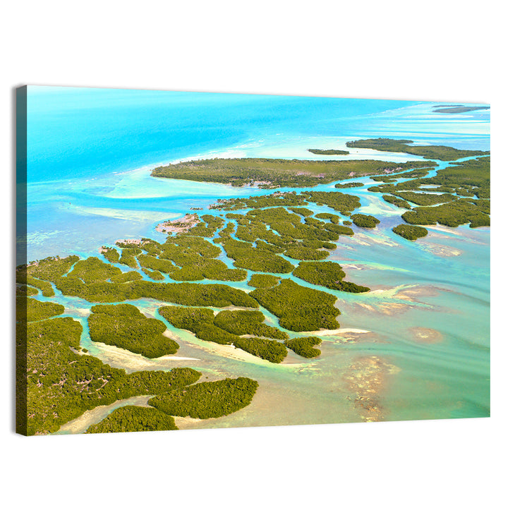 Florida Keys Mangrove Islands Wall Art
