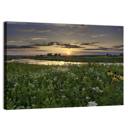 Illinois Fields Sunset Wall Art