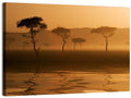 Savanna Sunset Acacia Silhouettes Wall Art