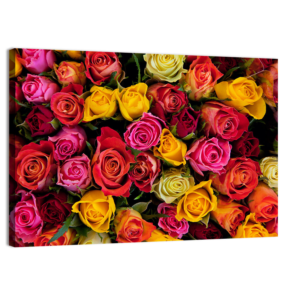 Multicolored Roses Close-up Wall Art