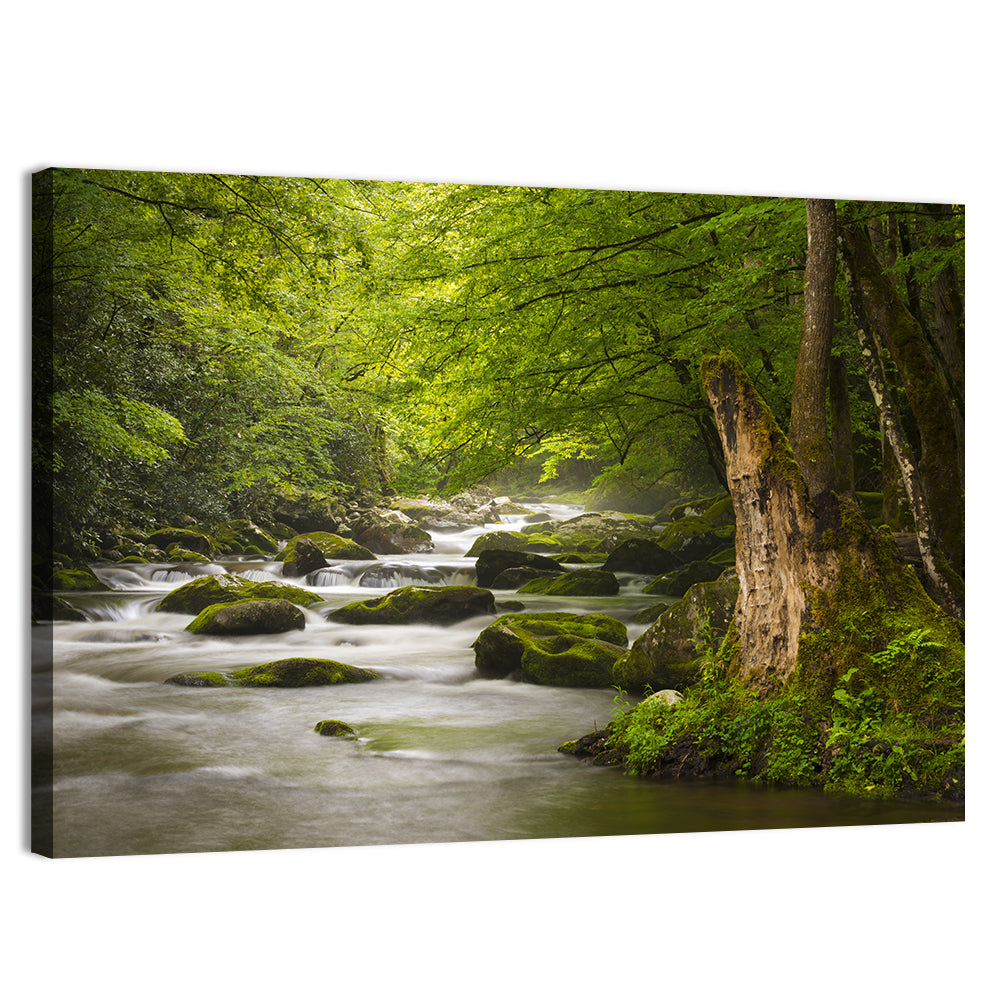 Tremont River Wall Art, canvas print, landscape