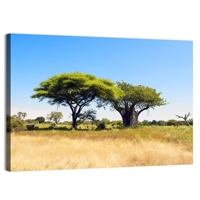 Acacia and Baobab Trees Wall Art as a canvas print