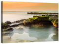 Mossy Rocky Coastline at Golden Hour Wall Art