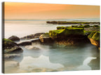 Mossy Rocky Coastline at Golden Hour Wall Art