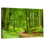 Sunlit Forest Path Wall Art