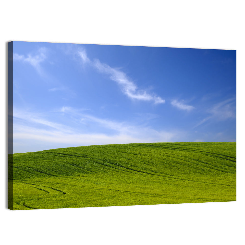 Rolling Green Hill with Blue Sky Wall Art