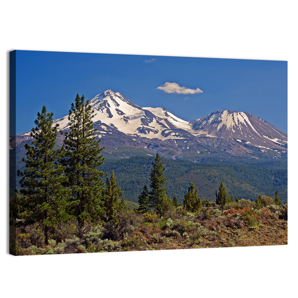 Mount Shasta Wall Art, canvas print, landscape