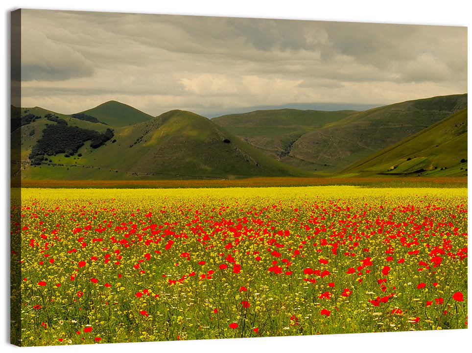 Castelluccio Wildflower Meadow Wall Art, canvas print, landscape