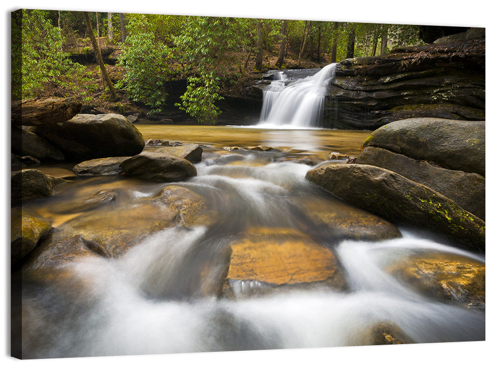 South Carolina Forest Waterfall Wall Art