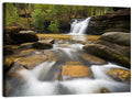South Carolina Forest Waterfall Wall Art