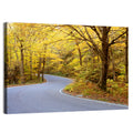 Winding Road Through Autumn Foliage Wall Art