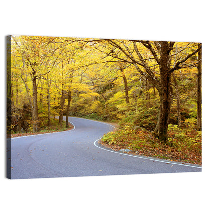 Road Through Fall Foliage Wall Art